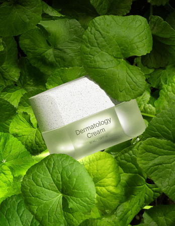 ICD Dermatology Cream tub - Korean skincare Australia - Riman Aus